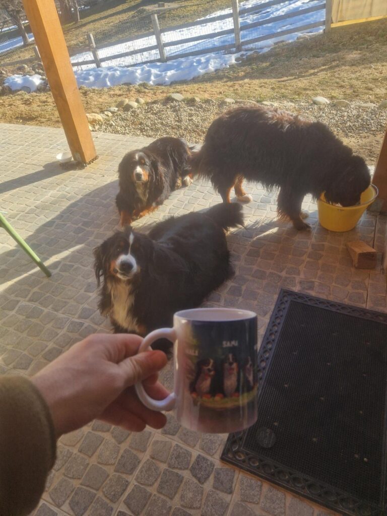 Clienti fericiti PetGifts